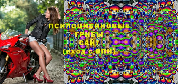 твердый Балахна