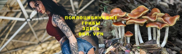 стаф Балабаново