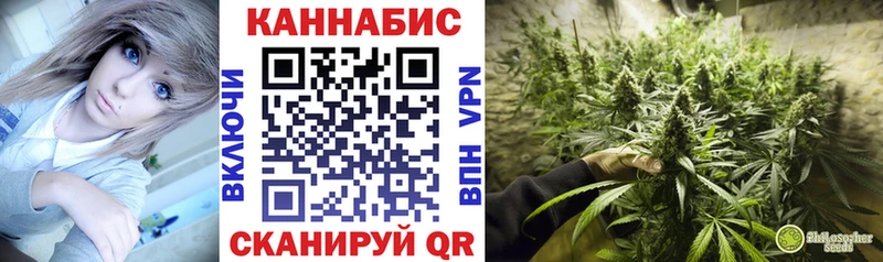 Канабис индика  Кочубеевское 
